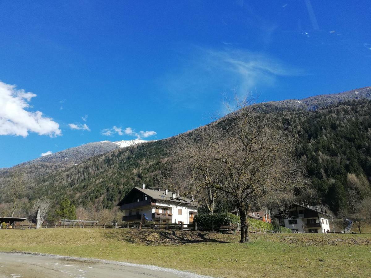 Attico Abbraccio Di Luce Apartamento Spiazzo  Exterior foto